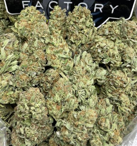 blackjack strains A collab between Cookies and Kenny Dumetz of Powerzzzup Genetics, Gary Payton is a highly coveted hybrid marijuana strain bred by Powerzzzup Genetics and named after the NBA Hall of Famer