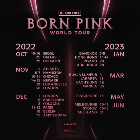 blackpink koncert jegyek 2023  Hoodies, tees, vinyl, accessories, and more