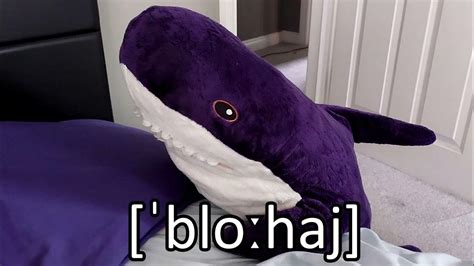 blahaj meaning  Blåhaj is apparently based on a blue shark, but that is wrong