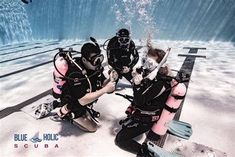blue holic scuba  Discover PADI courses, thrilling trips, and quality rental gear