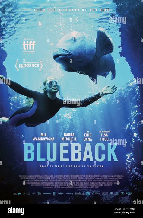 blueback ac3  Only in cinemas from New Year’s D