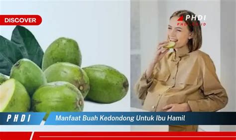 bolehkah ibu hamil makan buah kedondong  Buah ini mengandung vitamin C yang sangat tinggi sehingga dapat dengan cepat meningkatkan kekebalan tubuh