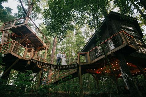 bolt farm honeymoon treehouse  | Life moves at a hectic pace