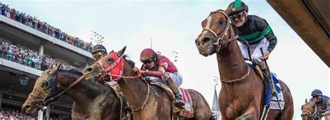 bondi stakes prediction He's rated only a $51 chance, comes out of a provincial maiden win and lines up in a $1 million race