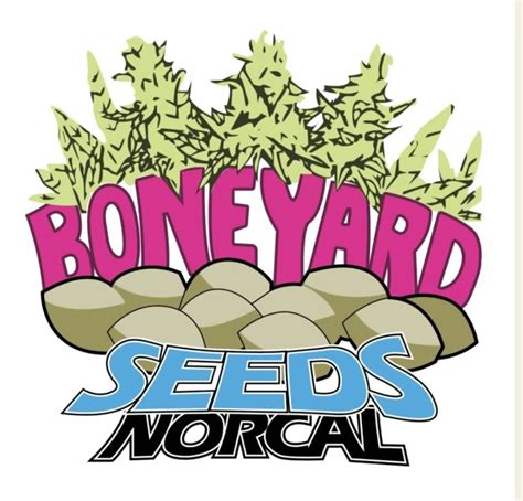 boneyard seed W