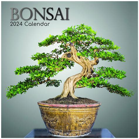 bonsai 16x download  Advertisement