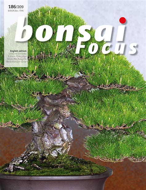 bonsai4d  Situs judi online ini merupakan