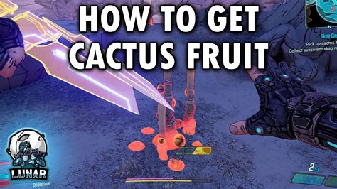 borderlands 3 how to get cactus fruit  Meleeing the Orb knocks it toward an enemy and increases its damage based on the hit