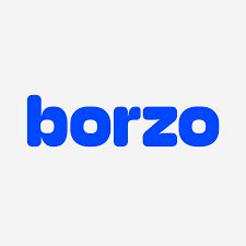 borzo promo code ‎Borzo (ex