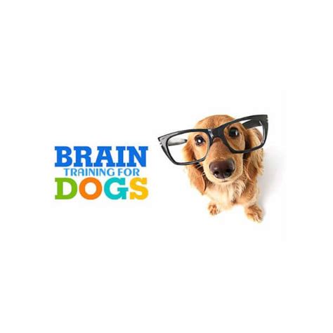 brain training for dogs affiliate program  The hot and cold game to boost your dog's ability to learn and build his confidence