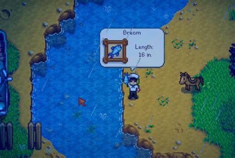 bream stardew valley The Cindersap Forest is in the southwest of Stardew Valley and is a large region with lots of buildings, as well as lots of space for activities