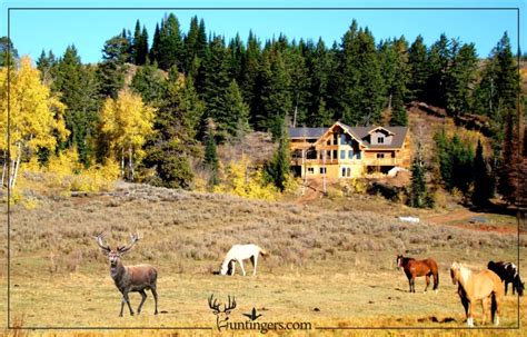 broadmouth canyon ranch idaho COM In 1989, he opened Broadmouth Canyon Ranch in Eden, Utah, where he purchased 25,000 acres of land in the Wasatch Range of the Rocky Mountains, which is used for hunting deer, elk, and Shiras moose