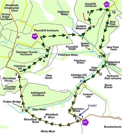 brockenhurst to lyndhurst walk Start/Finish: Hollands Wood entrance