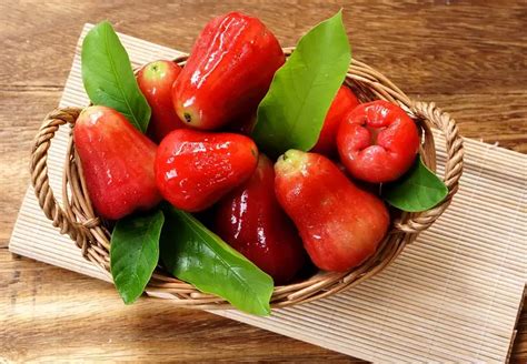 buah jambu air untuk ibu hamil  Karena mengandung beberapa nutrisi menyehatkan, seperti vitamin C, kalium, vitamin B6, dan juga serat