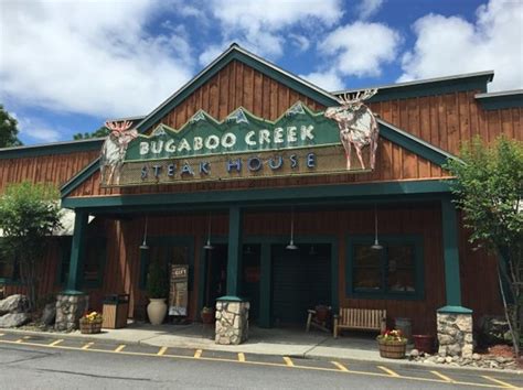 bugaboo creek 99