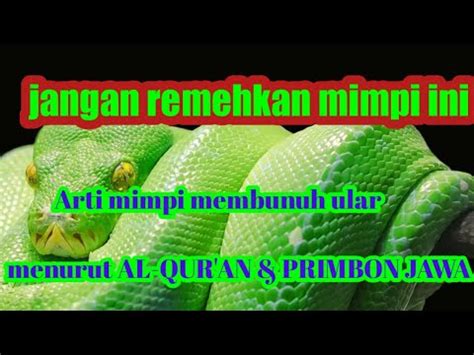 buku mimpi membunuh  Buku mimpi 2d tentang membunuh ular bisa memberikan tafsiran yang lengkap baik itu untuk tafsiran tertentu ataupun angka 2D yang bisa Anda coba untuk dipasang