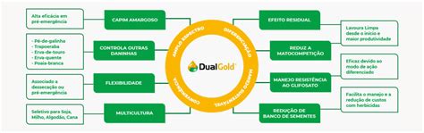 bula dual gold adapar CNPJ: 75