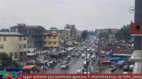 bulchiinsa magaalaa shaggar ''Dhiheenya kana magaalaa maqaa 'Shaggar' jedhuun bifa haaraan hundeeffame keessatti, seeraan ala ijaaraman jechuun masjiidonni hedduun bulchiinsa magaalichaan nu jalaa diigamaa jiru,'' jechuun