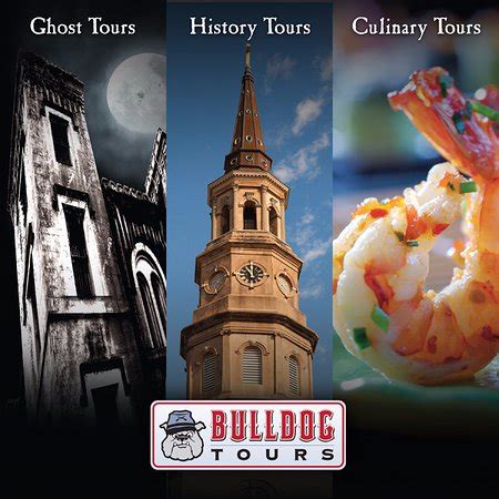 bulldog tours charleston promo code  Folly Beach Dolphin Viewing Boat Excursion and Estuary Tour