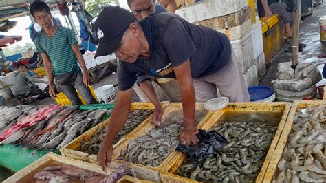 bunga taman hatiku 8  Setelah kering, mereka meletus dengan suara keras yang mengejutkan