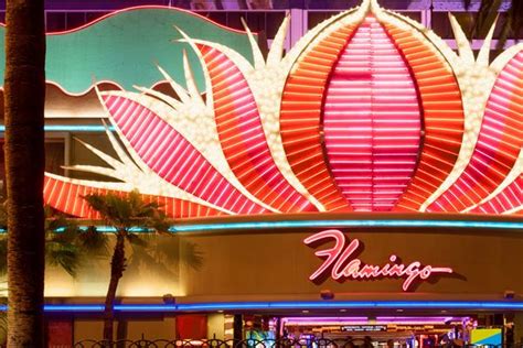 burlesque show las vegas flamingo  My choices are basically Fantasy at Luxor or X Burlesque at Flamingo