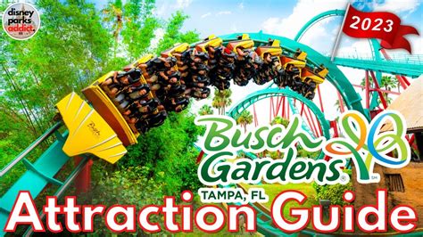 busch gardens tampa hotel specials  per night