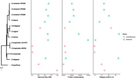 c elegans genome size  For genome size of 8x10^7bp see comments section of BNID 100287