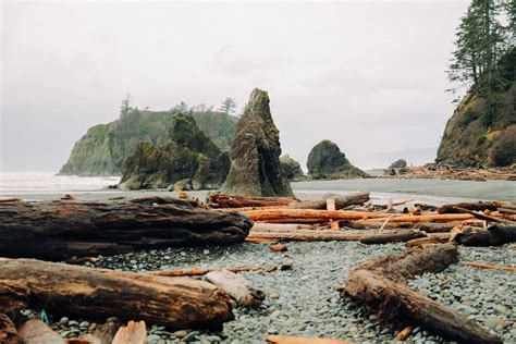 cabins near ruby beach wa  Photos by @fieldnotes__