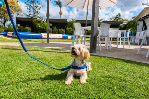 caloundra caravan parks pet friendly  Caravan Parks: Lowest Price