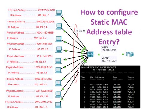 cam vs mac table  vs