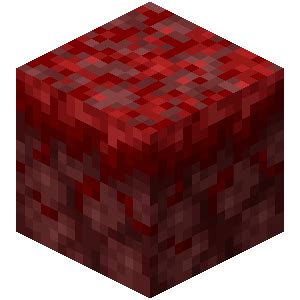 can crimson nylium spread in the overworld  In the nether, nylium is a good choice for growing huge mushrooms on