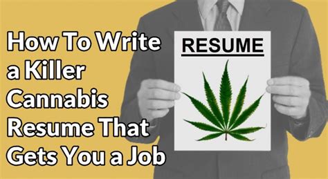 cannabis concierge resume examples  Mentioning language proficiency in a resume objective can demonstrate an applicant's ability to cater to a diverse clientele and work in a multicultural environment
