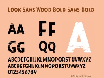 canvasans-bold font download  Next