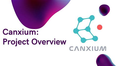 canxium mining 80, market cap of $ 331,602, and market dominance of 0