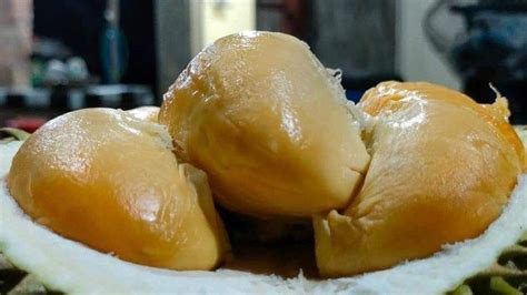 cara menyimpan buah durian agar tahan lama <b>amal hibel rages ayntaubmem asib adnA arac 2 adA </b>