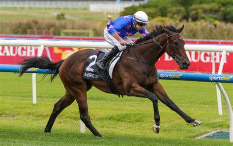 carbine club stakes field  Field Preview, Odds, Horses, Speed Map and Betting Tips