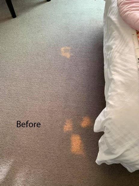 carpet cleaning bulimba  info@lotuscleaning