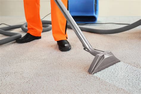 carpet cleaning thebarton  (15) • 13330 Telge Road, Ste 305