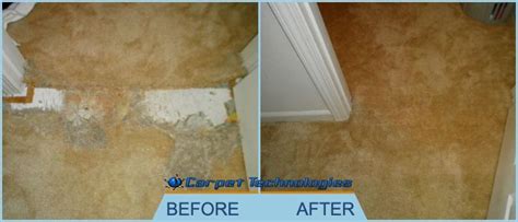 carpet repair burswood  An experts will cut the damaged spot and by putting a