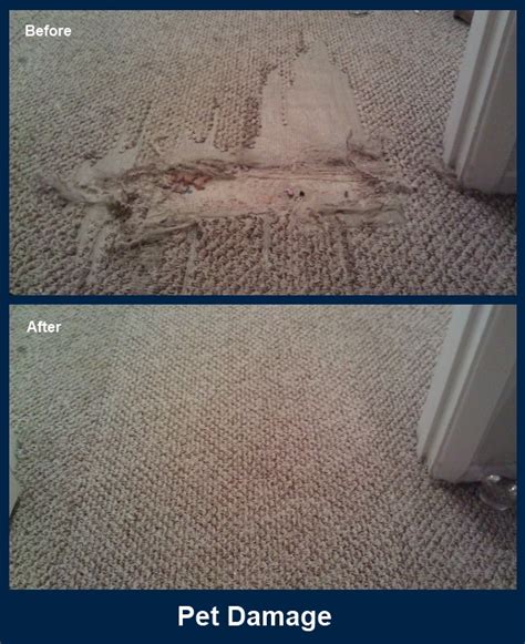 carpet repair charlotte nc  704-821-5512 [email protected] About Us; Cleaning