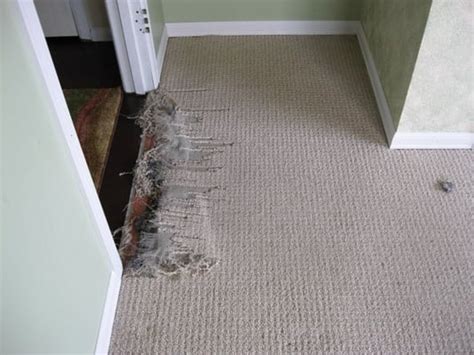 carpet repair kelmscott Kelmscott Water Damage Repair