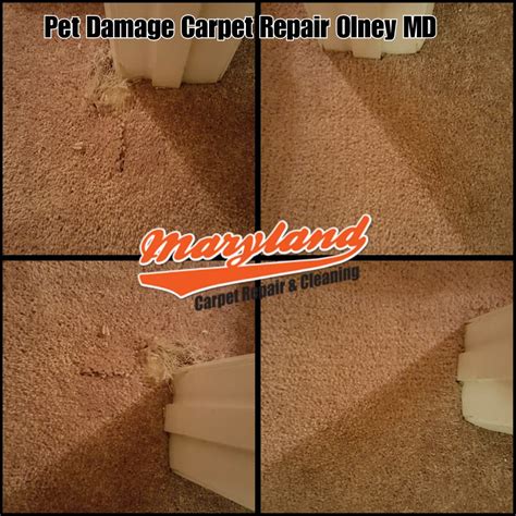 carpet repair olney com Phone: 800-656-9862