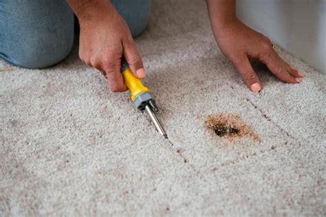 carpet repair reid  Need your carpet patched, re-stretched, installed or repaired in Canberra Central ? AllCarpetRepairs Cleaning & Repairs provides carpet repair service for cigarette burns, iron burns, bleach, red wine, pet stains, tears and rips, sundamage and all unremovable stains etc