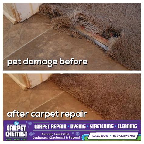 carpet repair woodville park  The average price to repair carpet in Woodville is $250, which is $20 less expensive than the national average