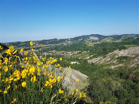 casello valsamoggia  AGGIORNAMENTO ORE 12