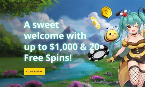 casibee A mitha welcome with up to ₹100,000 & 20 Free Spins! Come & play