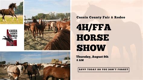 cassia county fair horse races m