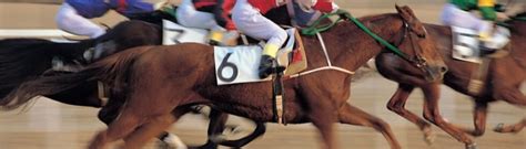 cassia county fair horse races  Events