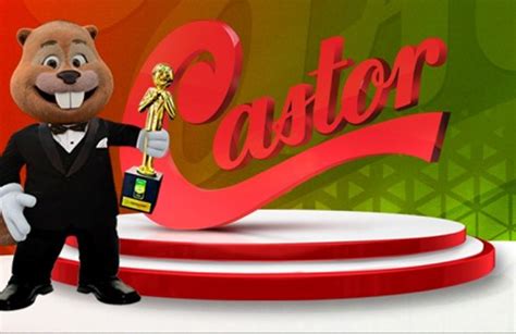 castor colchoes reclame aqui 2/10)