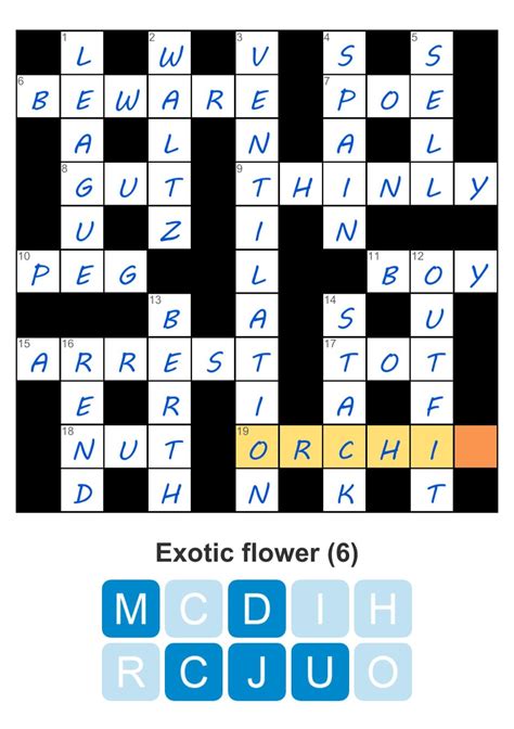 casual cotton trousers crossword  Answer